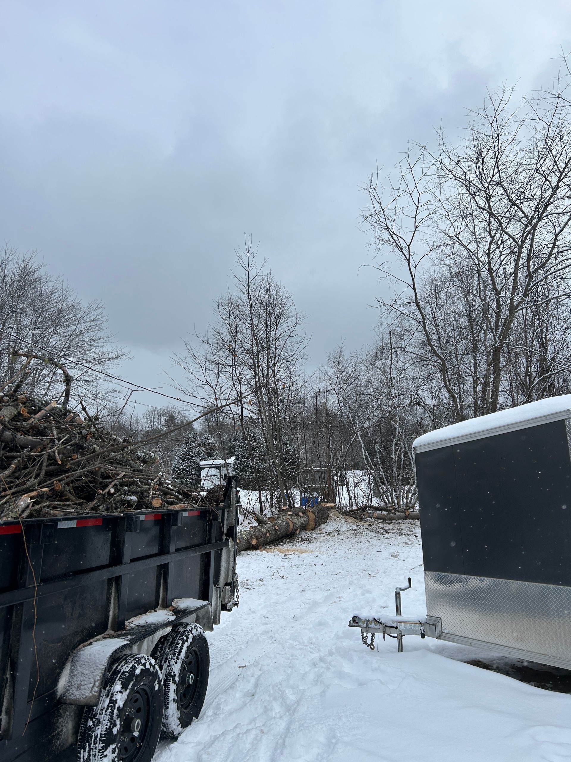 Snow-covered trailer and truck in a winter roadside scene with bare trees under a gray sky