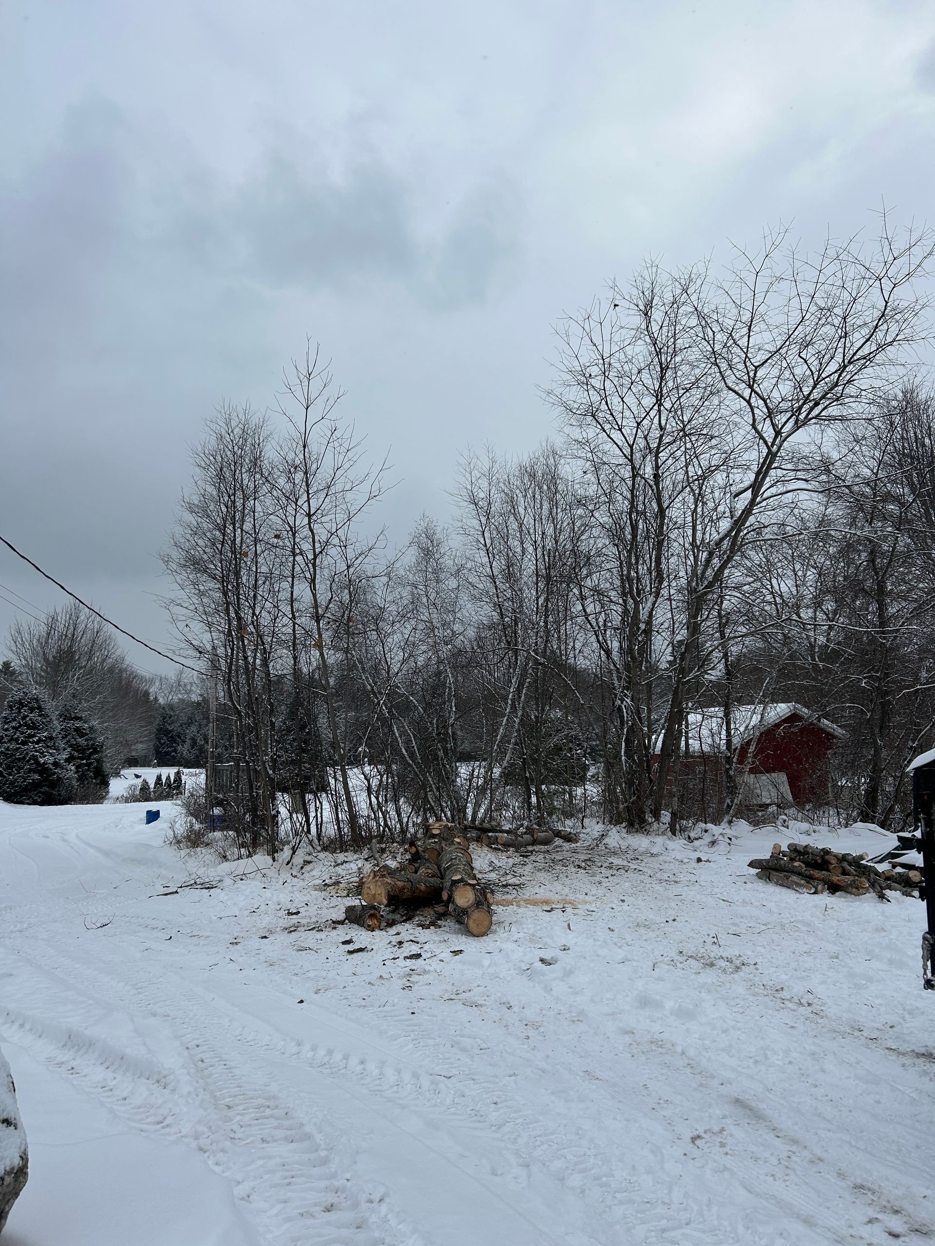 Snow-covered rural road with bare trees and a cloudy winter sky