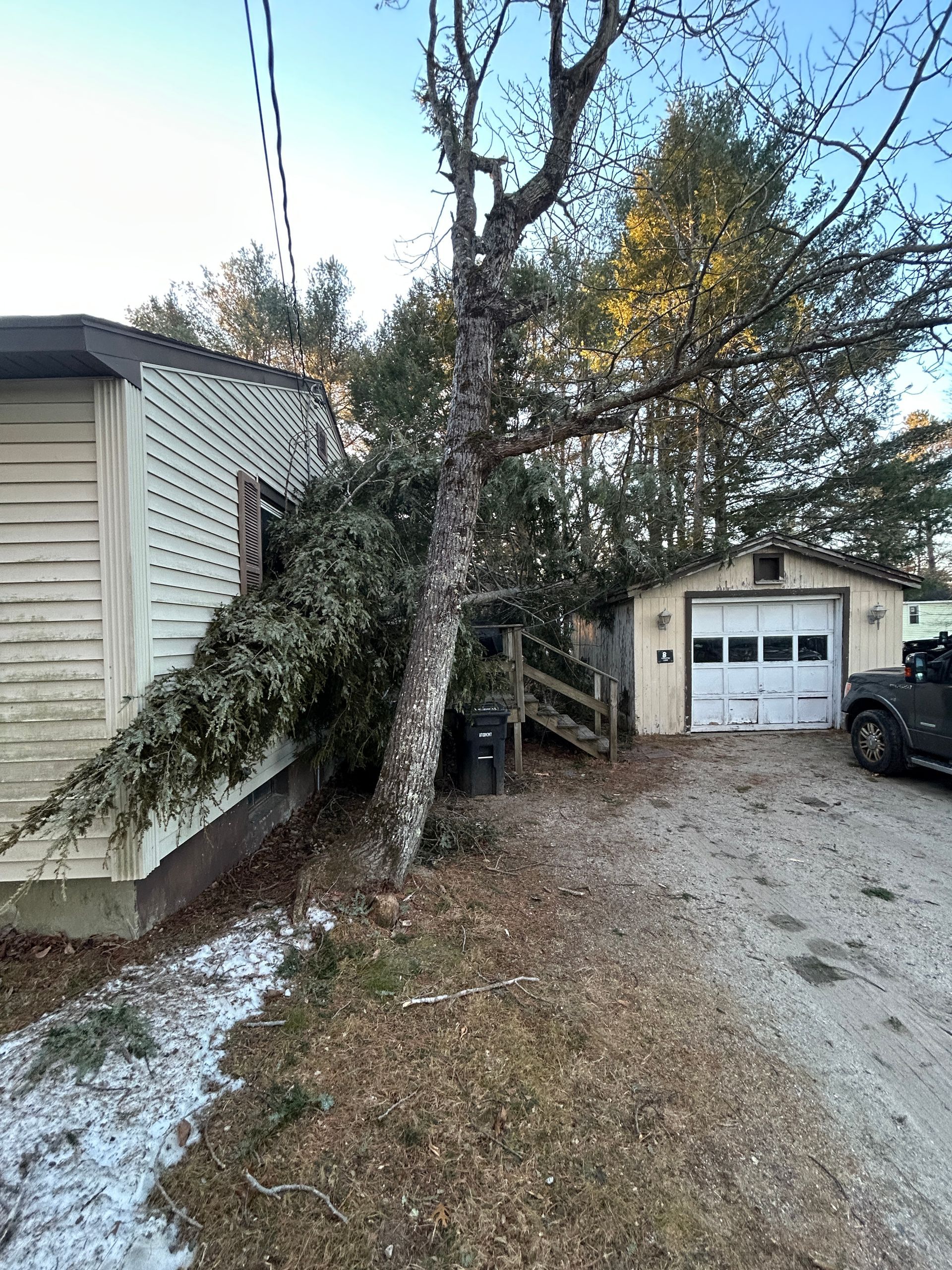 Tree leaning over house and driveway near garage, with a car parked beside it.