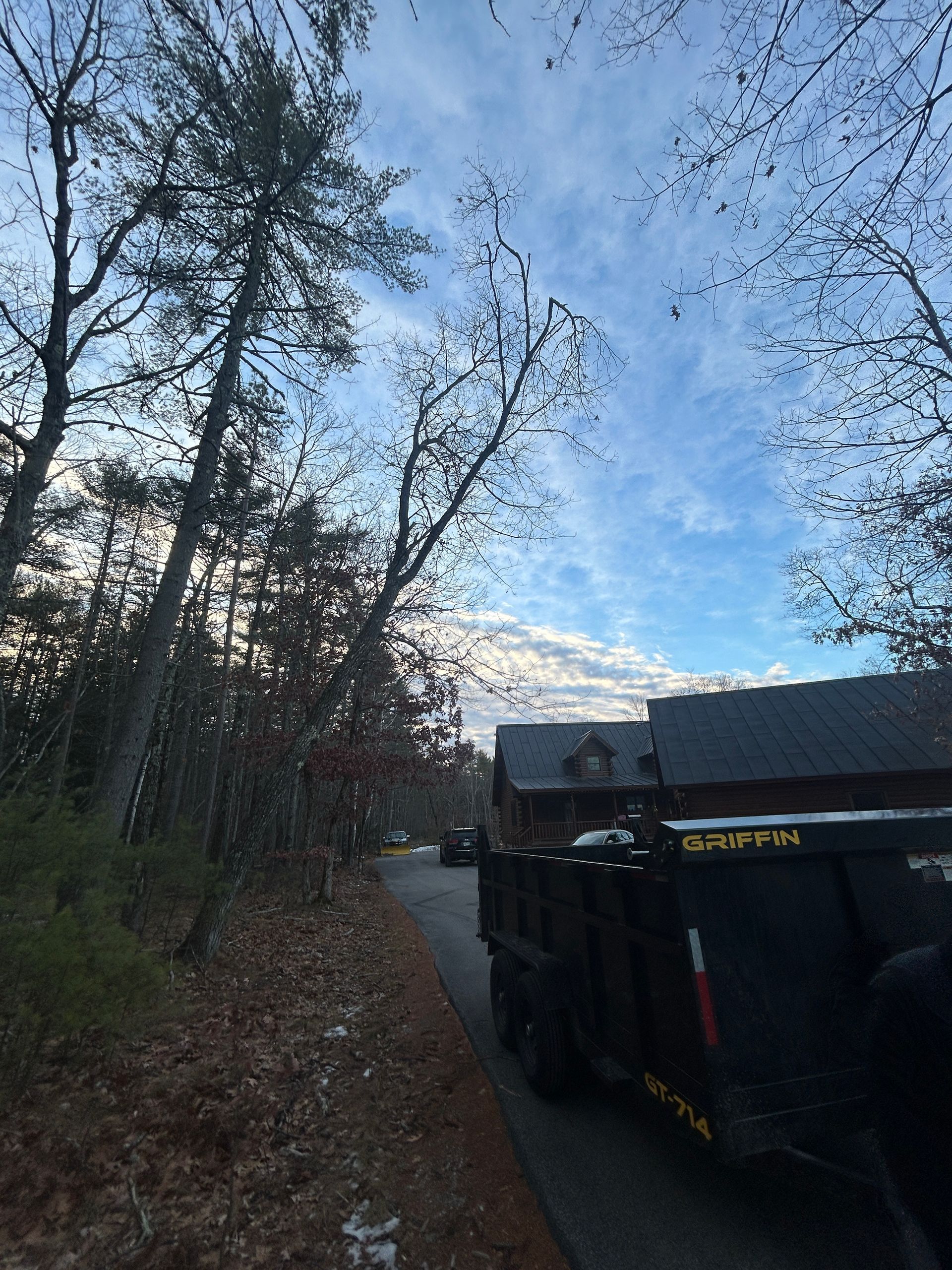 Tree-lined roadside with a parked black dumpster under a blue evening sky