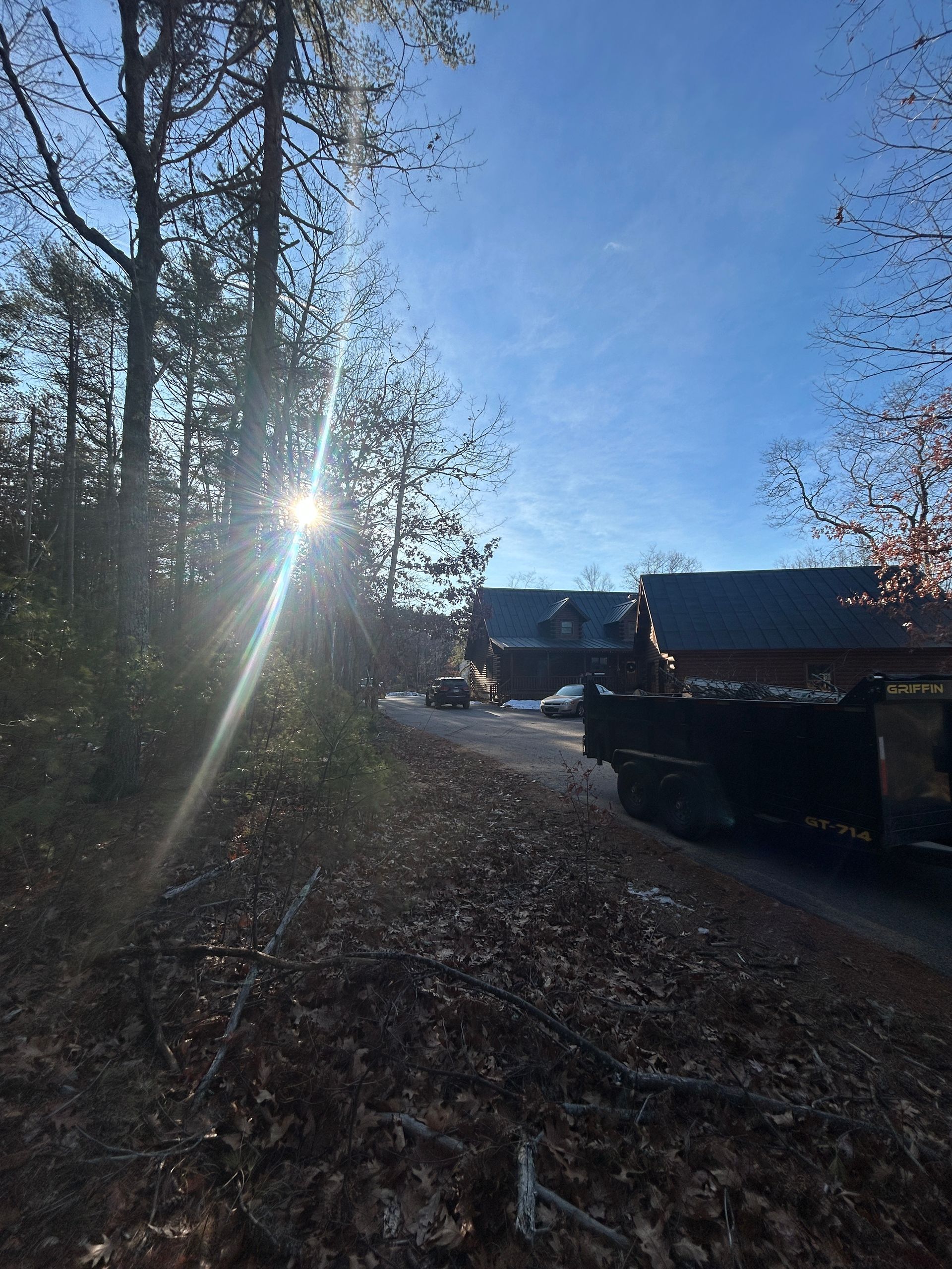 Sunlight through trees over a driveway beside a house on a clear blue morning