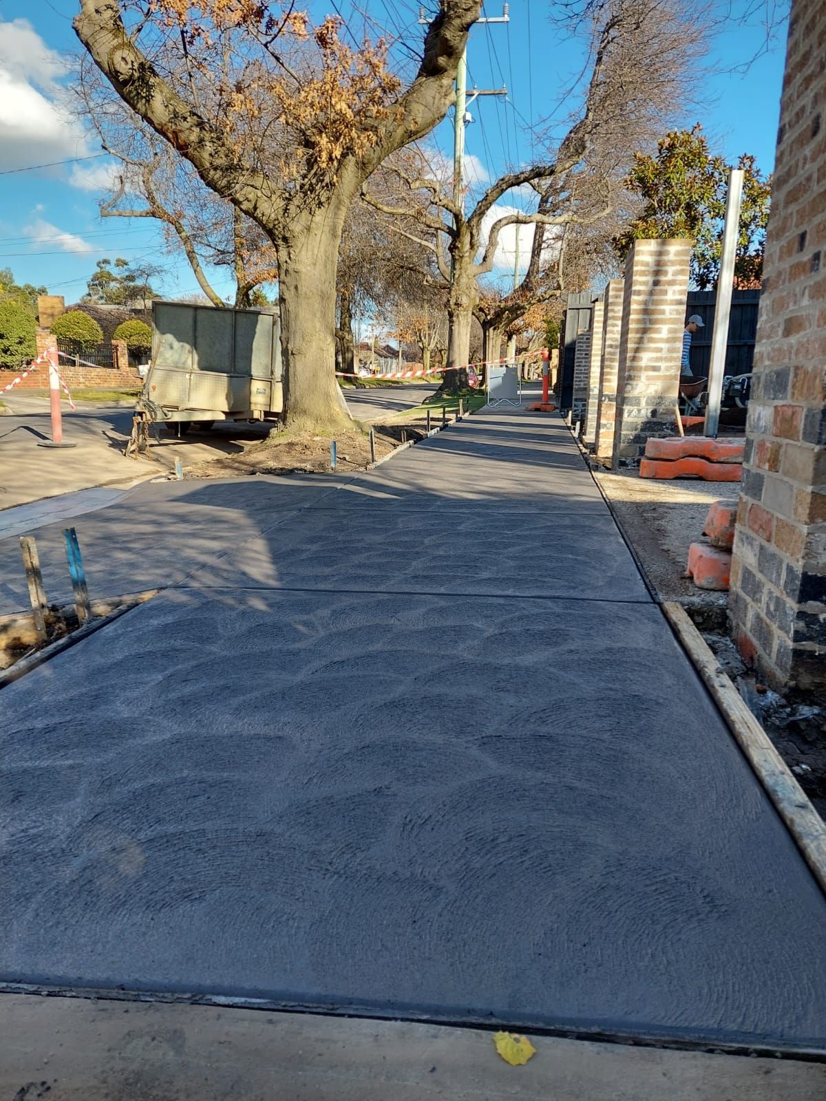Freshly paved sidewalk beside large leafless trees and a brick wall on a sunny day