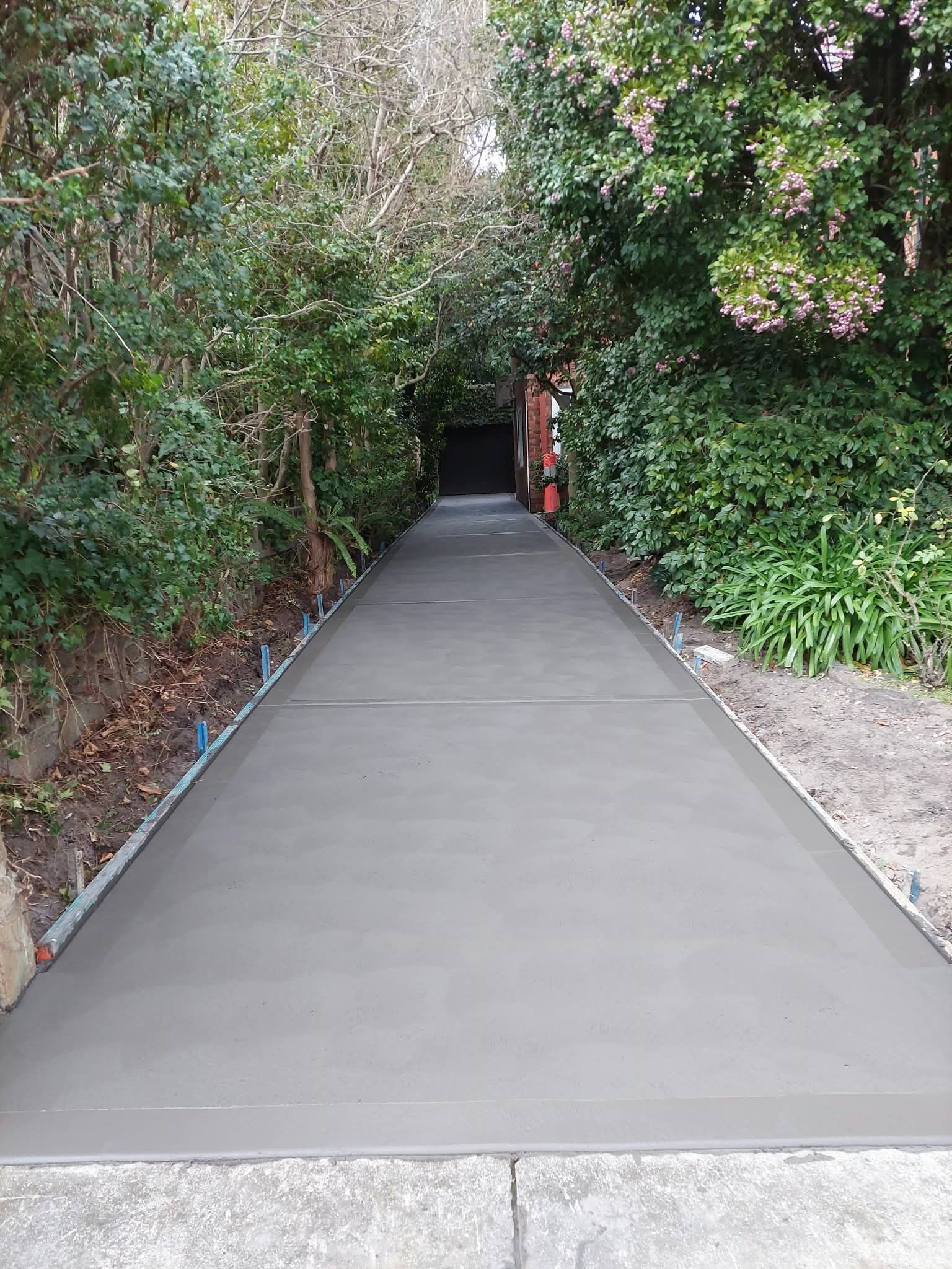 Concrete walkway leading into dense greenery with a red post on the right