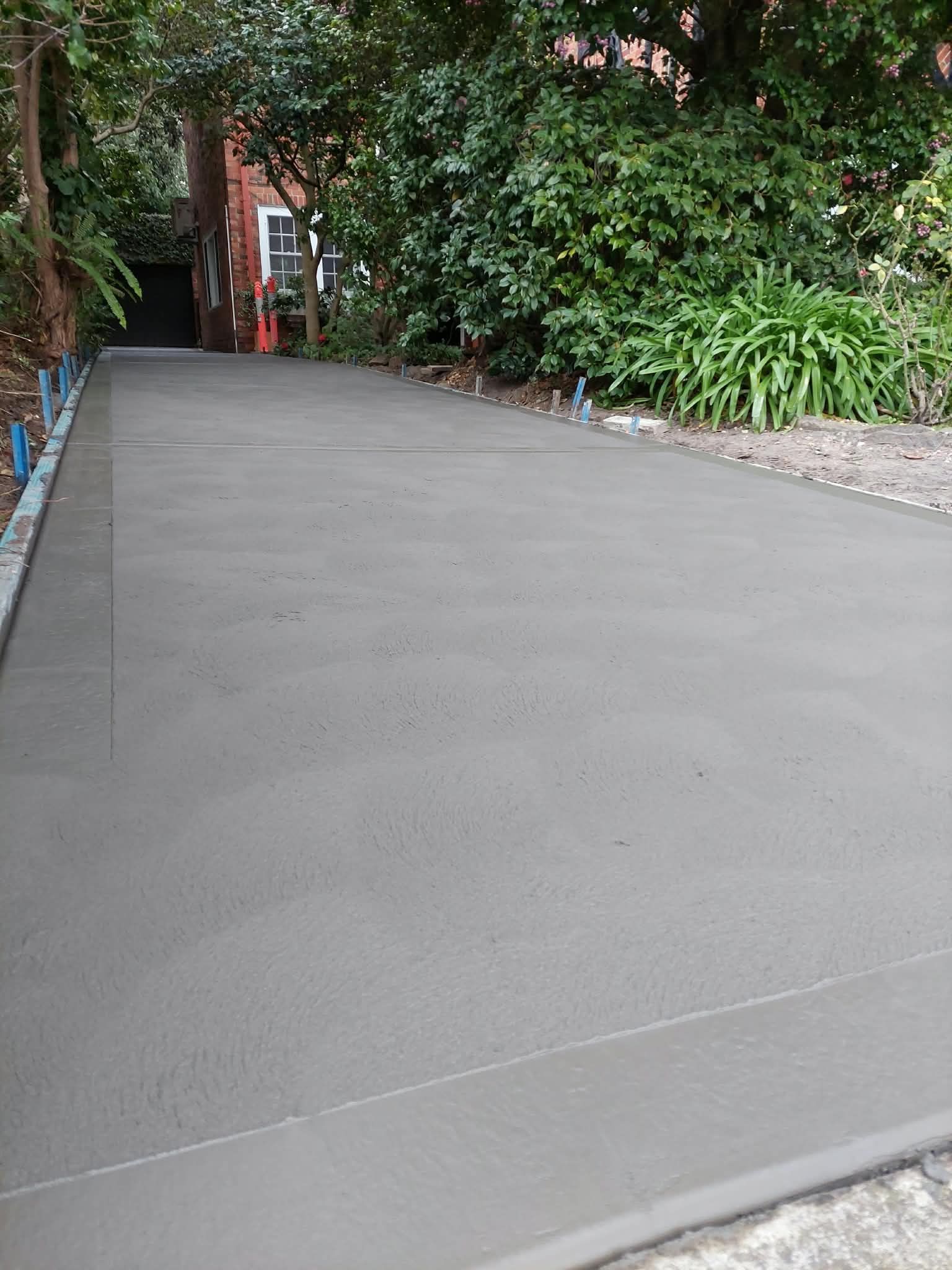 Empty concrete path bordered by lush green plants and trees