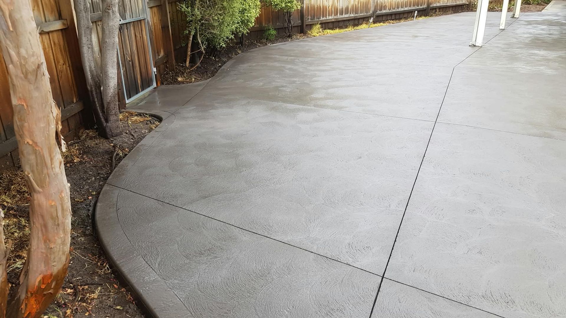 Curved concrete patio beside a wooden fence and tree trunk, with a wet surface and garden edge