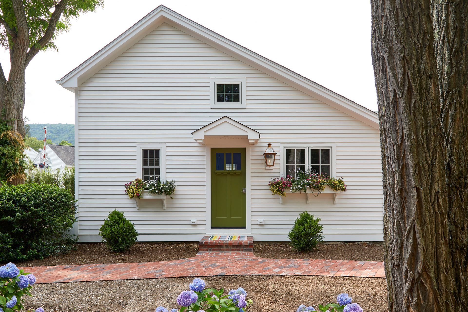 Small white house with a green door, flower boxes, and a tree in the foreground