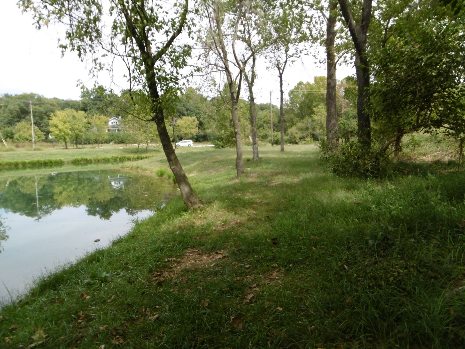 A lake surrounded by trees and grass with a path leading to it