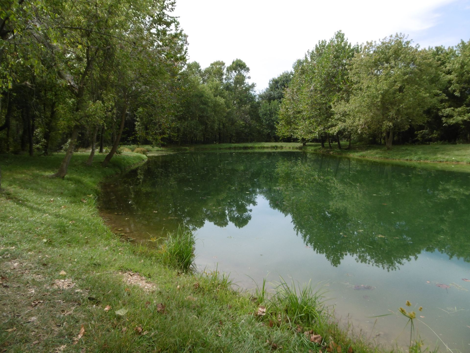 A large body of water surrounded by trees and grass