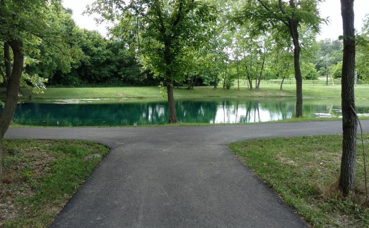 A path leading to a pond in a park