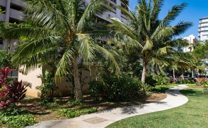 A walkway in a park with palm trees and a building in the background.