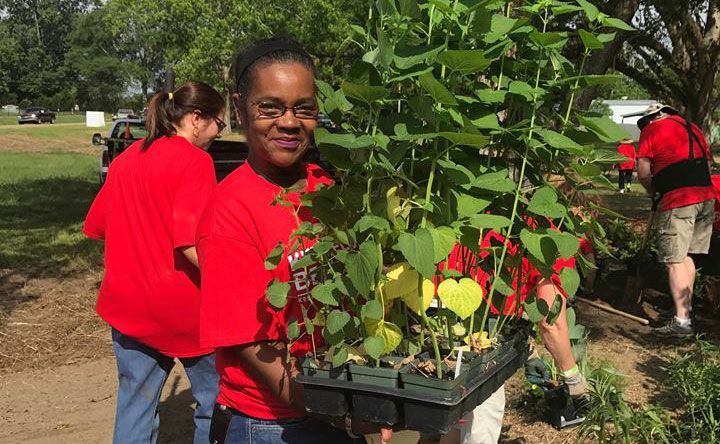 A woman in a red shirt is holding a tray of plants.
