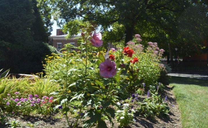 A bunch of flowers are growing in a garden in front of a house.