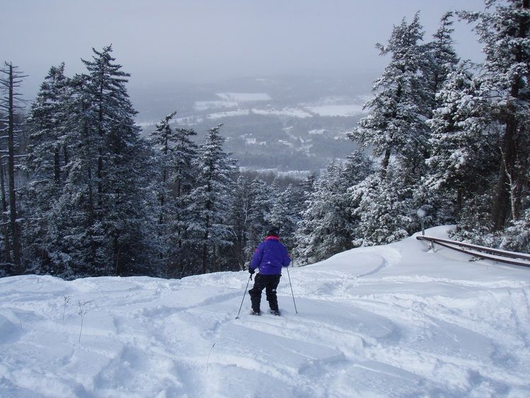 A person skiing down a snowy hill with trees in the background