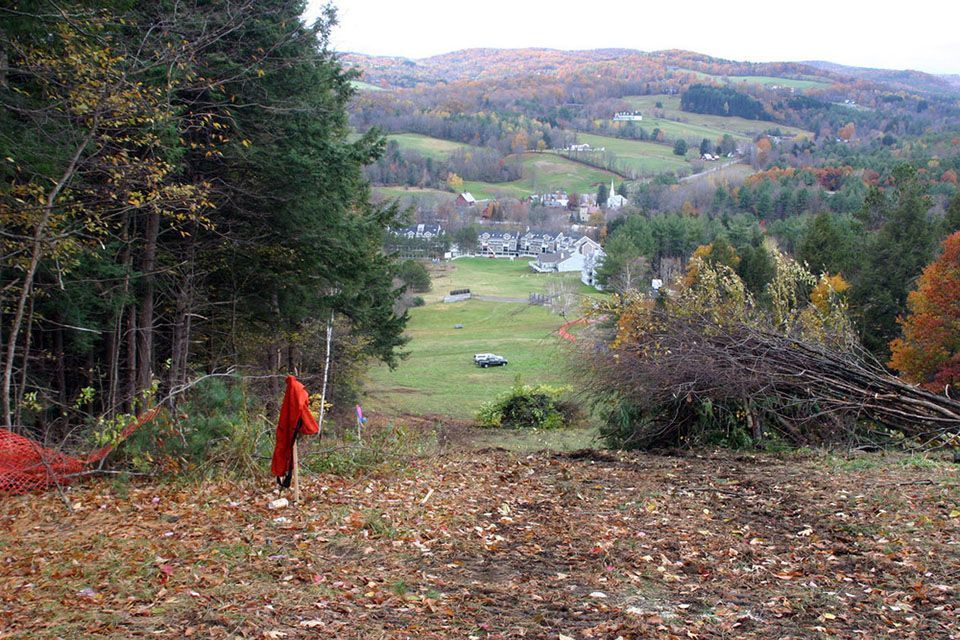 A red flag is hanging from a tree in the middle of a field.