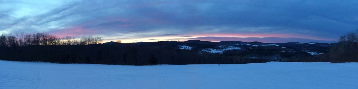 A blurry picture of a snowy field with trees in the foreground and a sunset in the background.