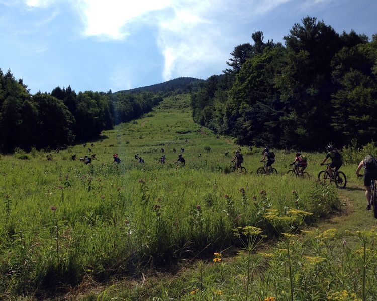 A group of people are riding bikes in a grassy field