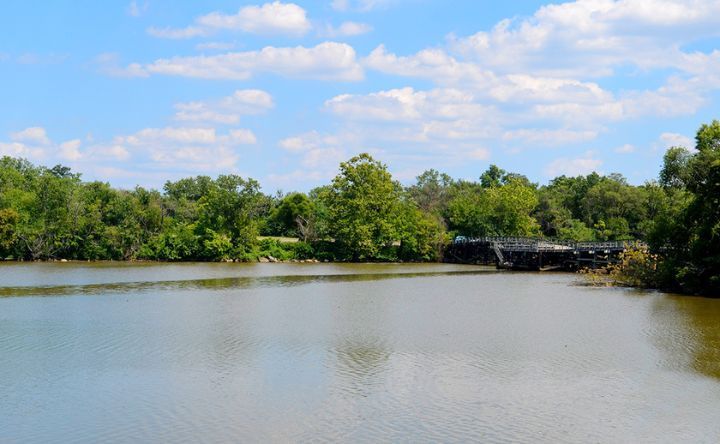 A large body of water surrounded by trees on a sunny day.