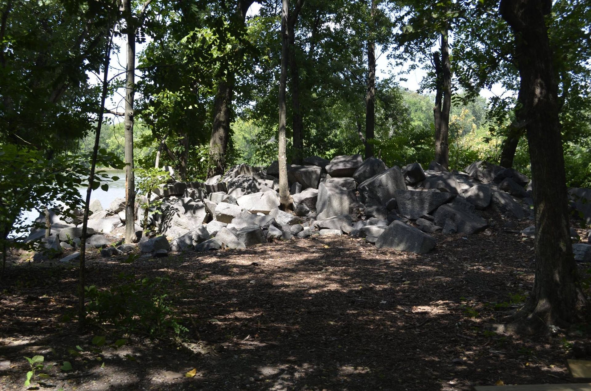 A pile of rocks in the middle of a forest