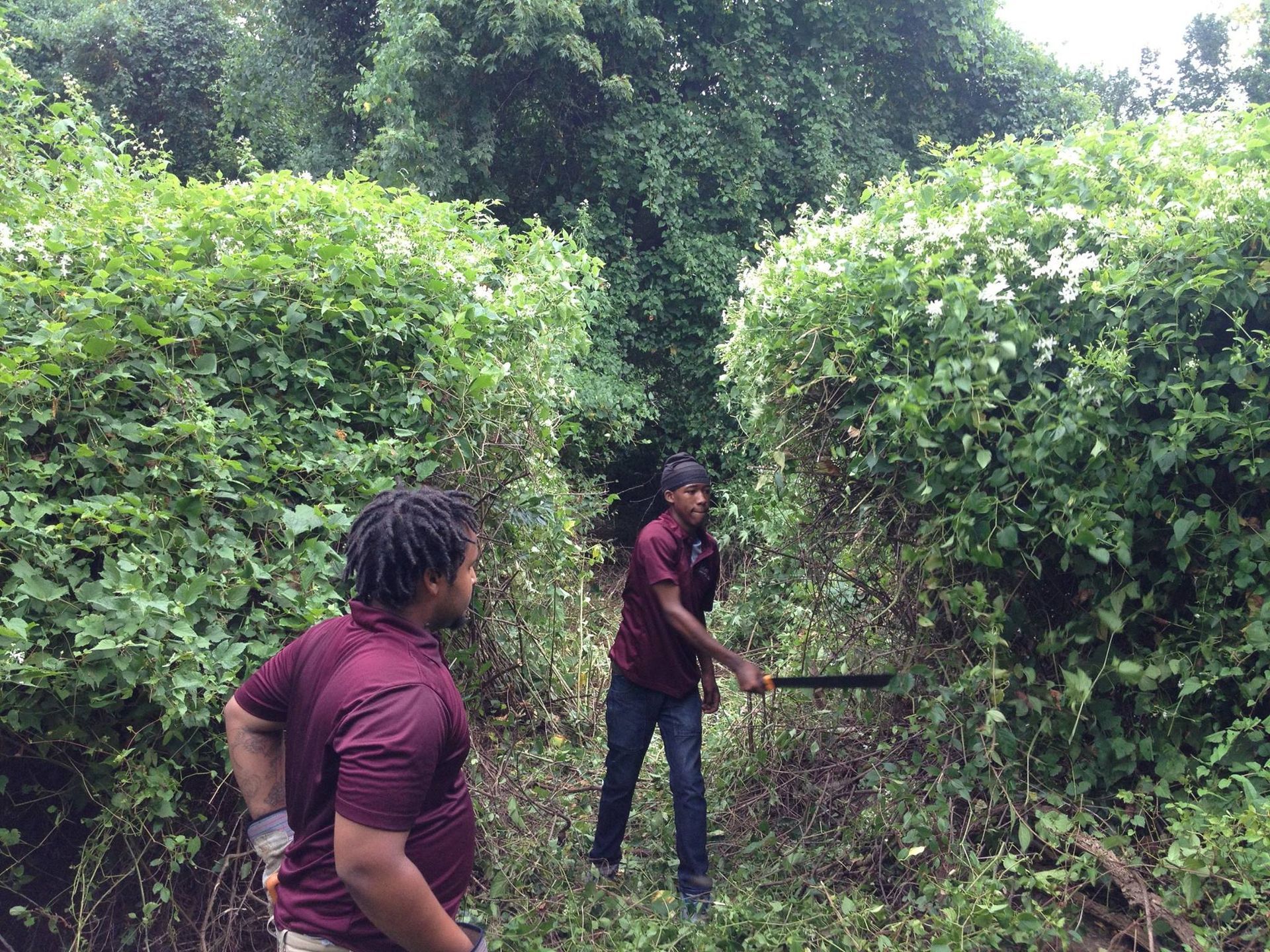 Two men are standing in a lush green forest.