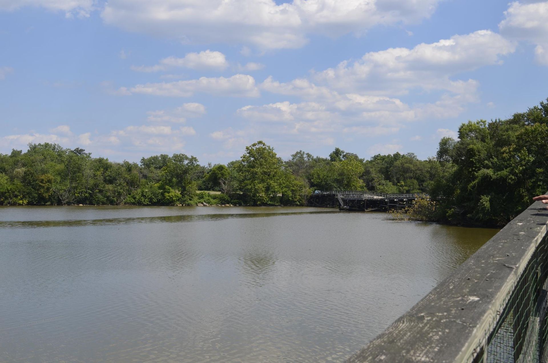 A large body of water surrounded by trees on a sunny day
