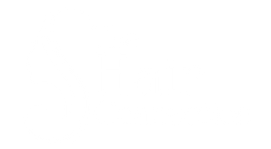 The Hair Connection Logo 