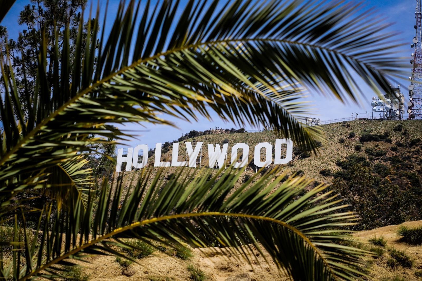 Hollywood sign on the hillside framed by palm fronds in the foreground