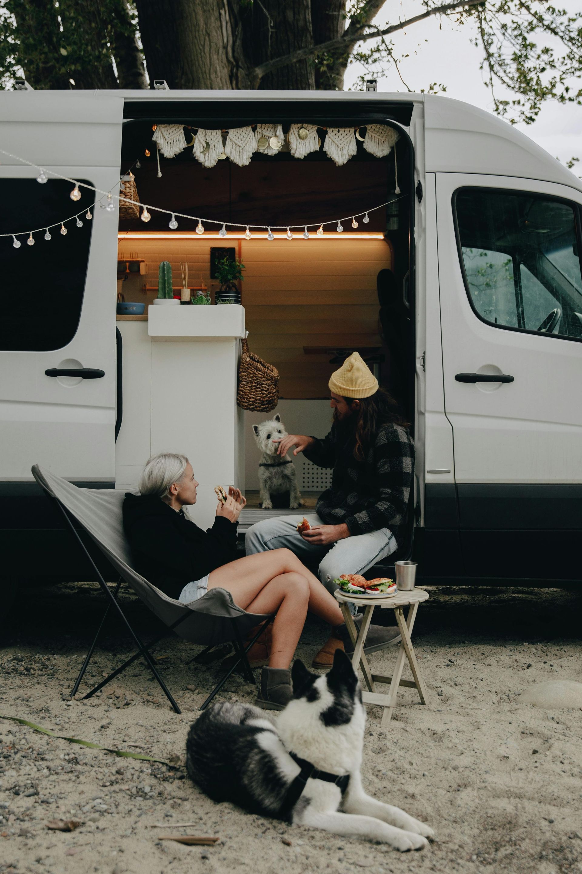 Two people and two dogs by a camper van, enjoying snacks outdoors.