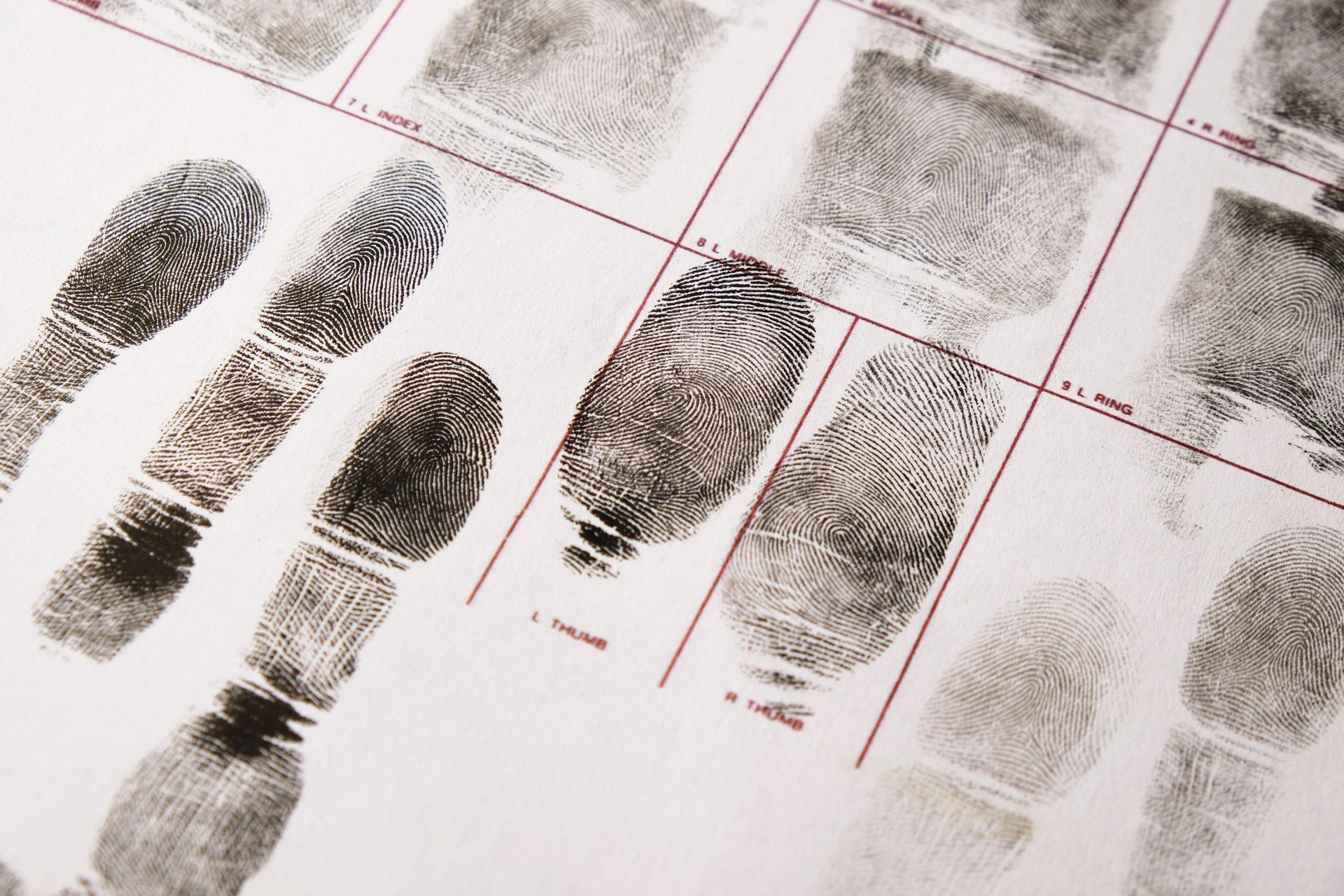 A bunch of fingerprints on a piece of paper