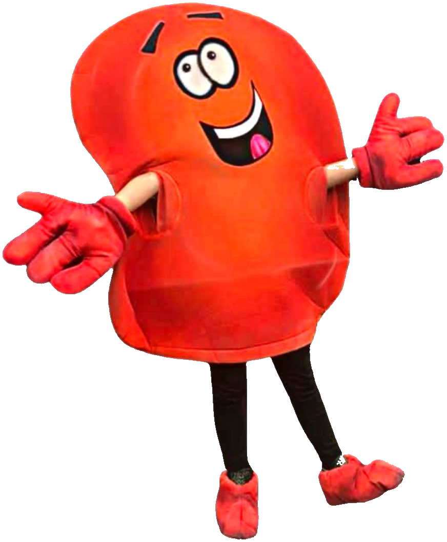 Kampbell the Kidney Mascot