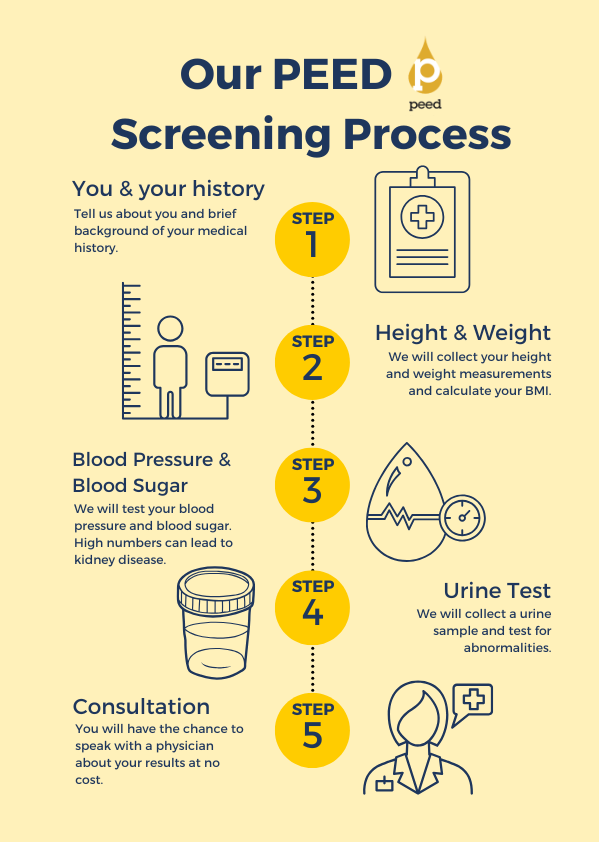Infographic on PEED screening process with five yellow steps: history, height and weight, blood pressure, urine test, consultation