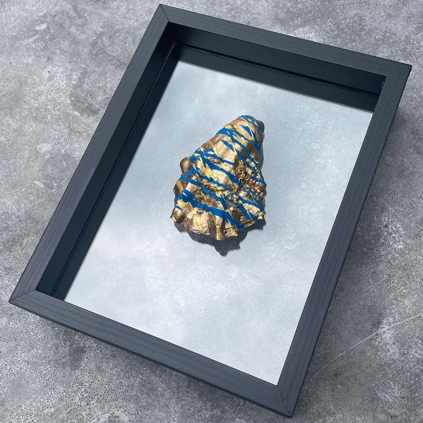 Oesterkunst in een zwarte lijst, gouden oester met blauwe strepen erop