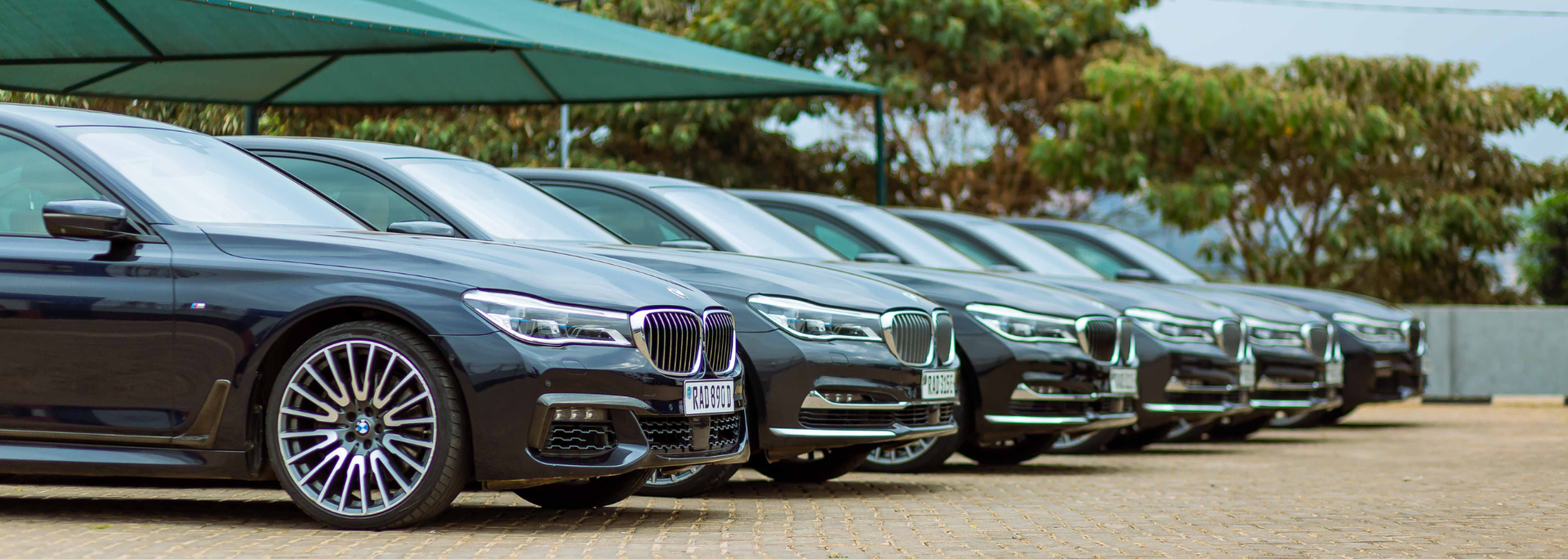 Picture of cars lined up. 