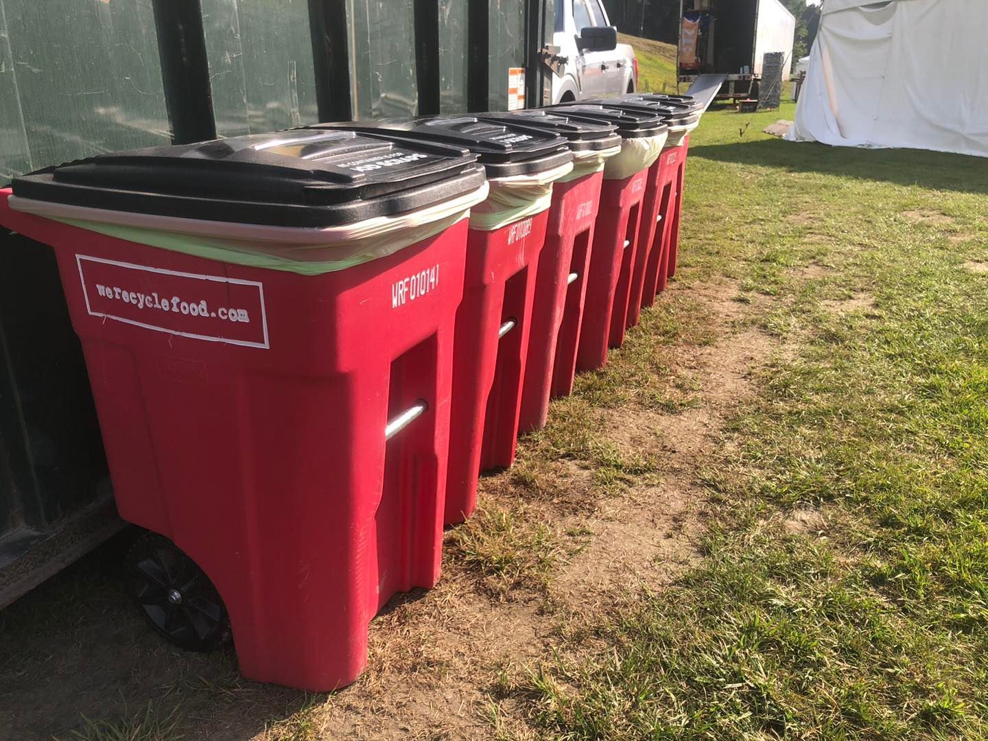 Red recycling bins lined up next to a green dumpster on a grassy area, sunny day.