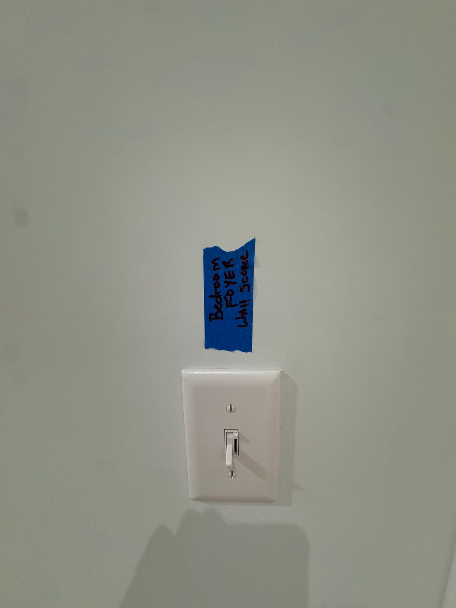 White light switch on a pale green wall with a blue label above it.