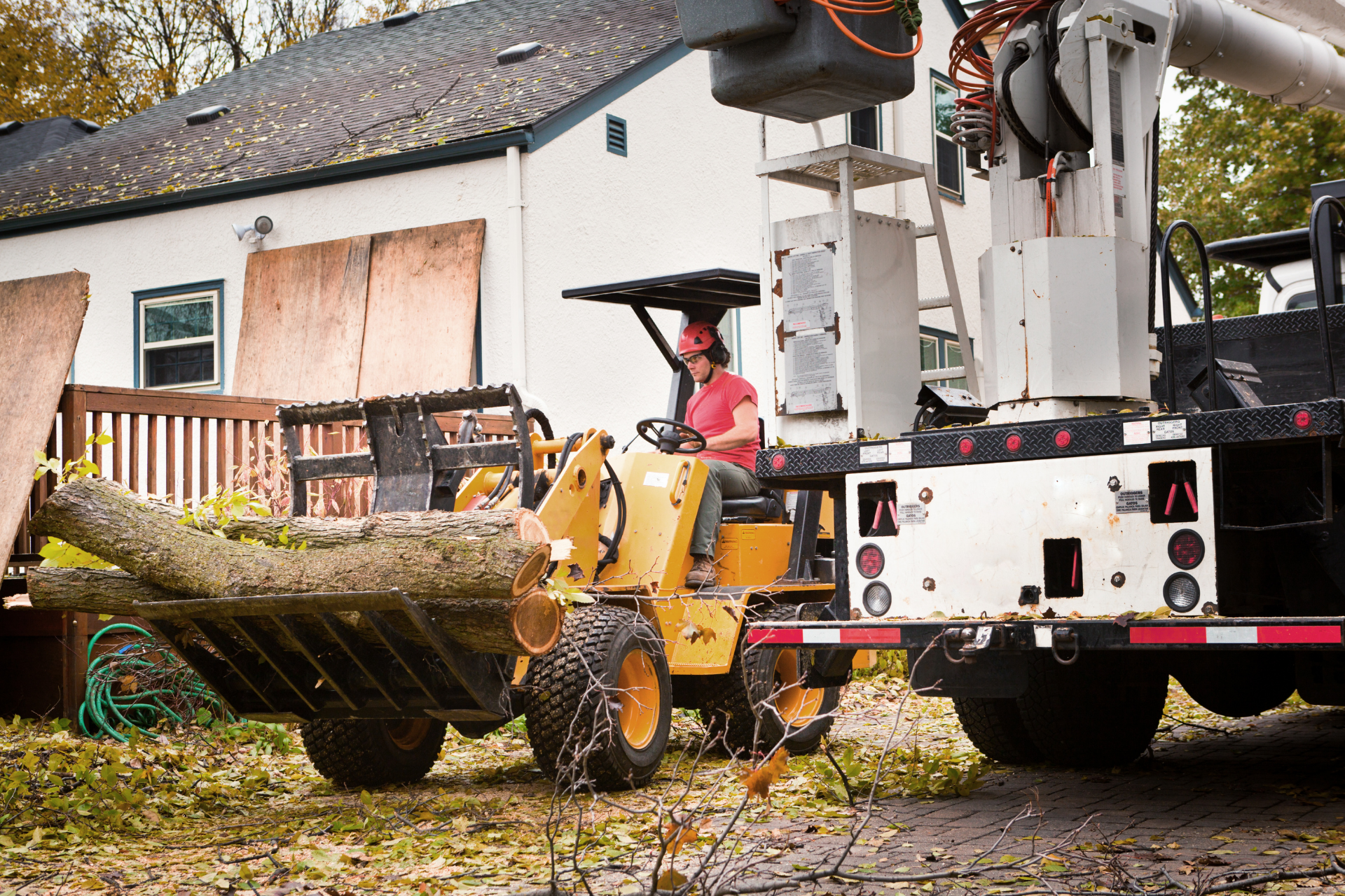 A man is driving a tractor with a large tree on the back of it.