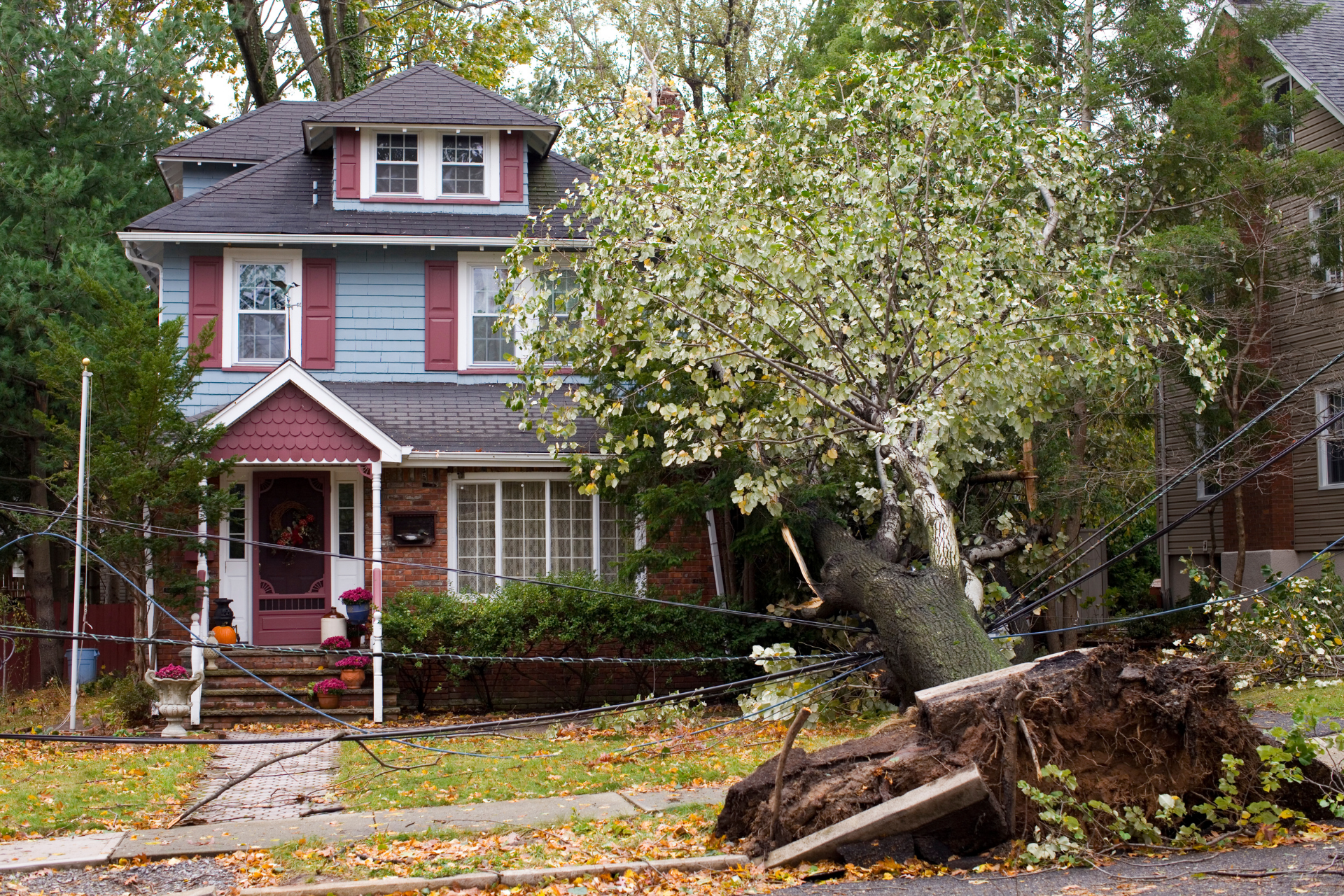 A house with a fallen tree in front of it.