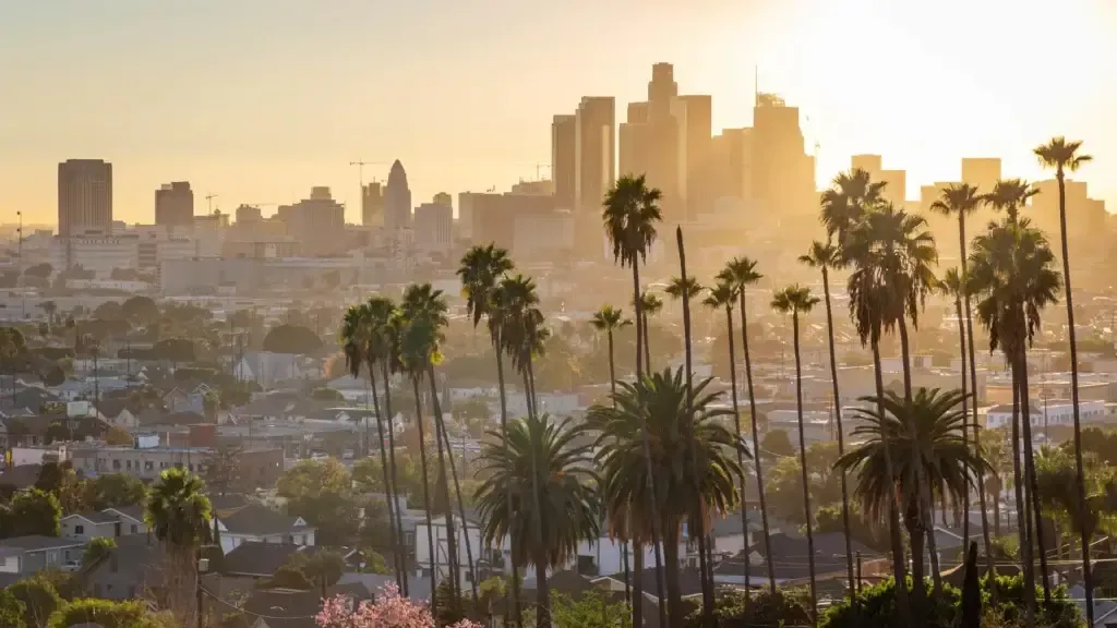 Sunlit city skyline at sunset with palm trees