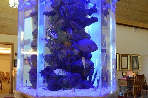 Aquarium