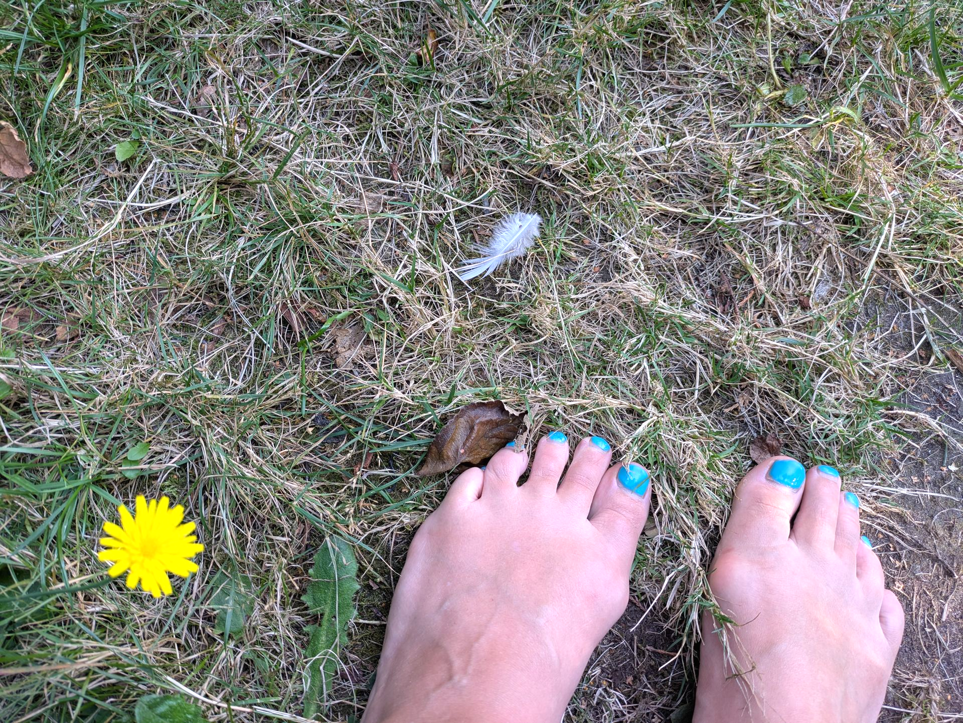A few things happened recently that completely took the wind out of my sails.I’d been floating a