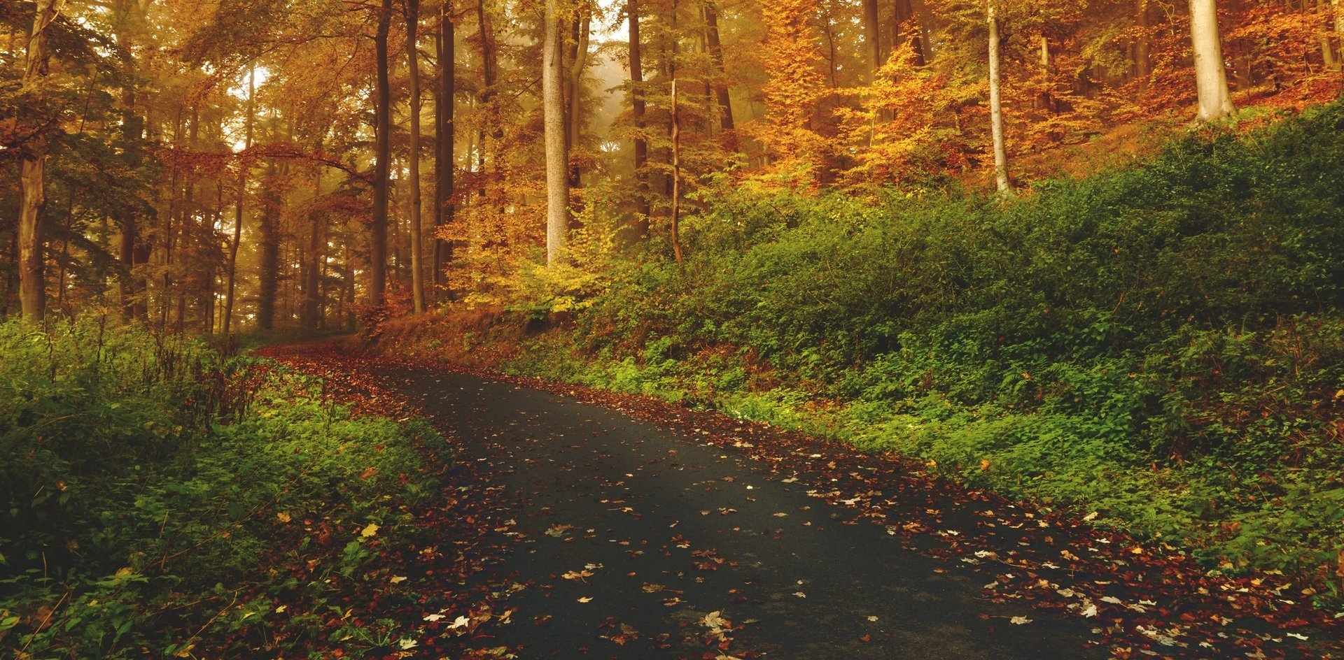 Mindful By Nature, mental health awareness, nature for mental health and wellbeing