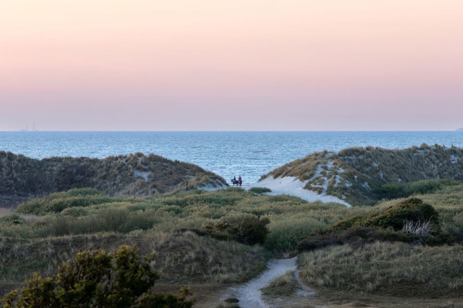 Strandritten te paard op Ameland met persoonlijke begeleiding Mensen te paard lopen tussen zandduinen richting een grijze oceaan onder een bewolkte hemel.