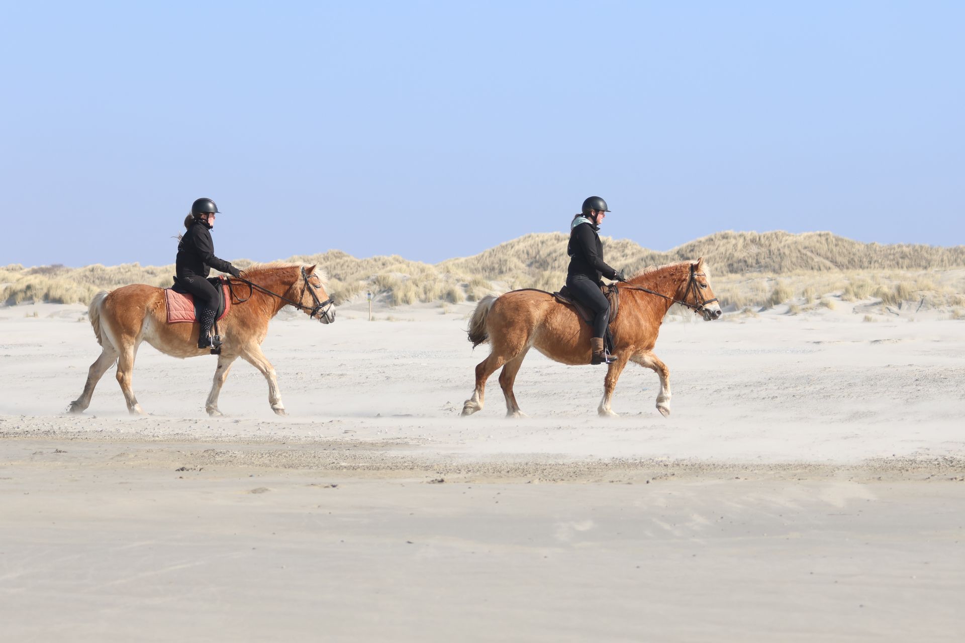 Two people are riding horses on the beach.