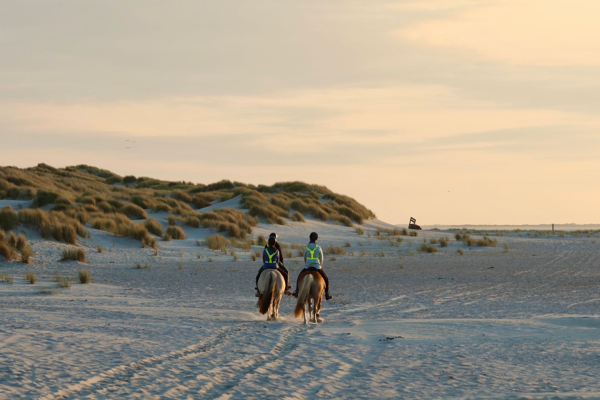 Two people ride horses on a sandy beach, dunes in the background, during golden hour.