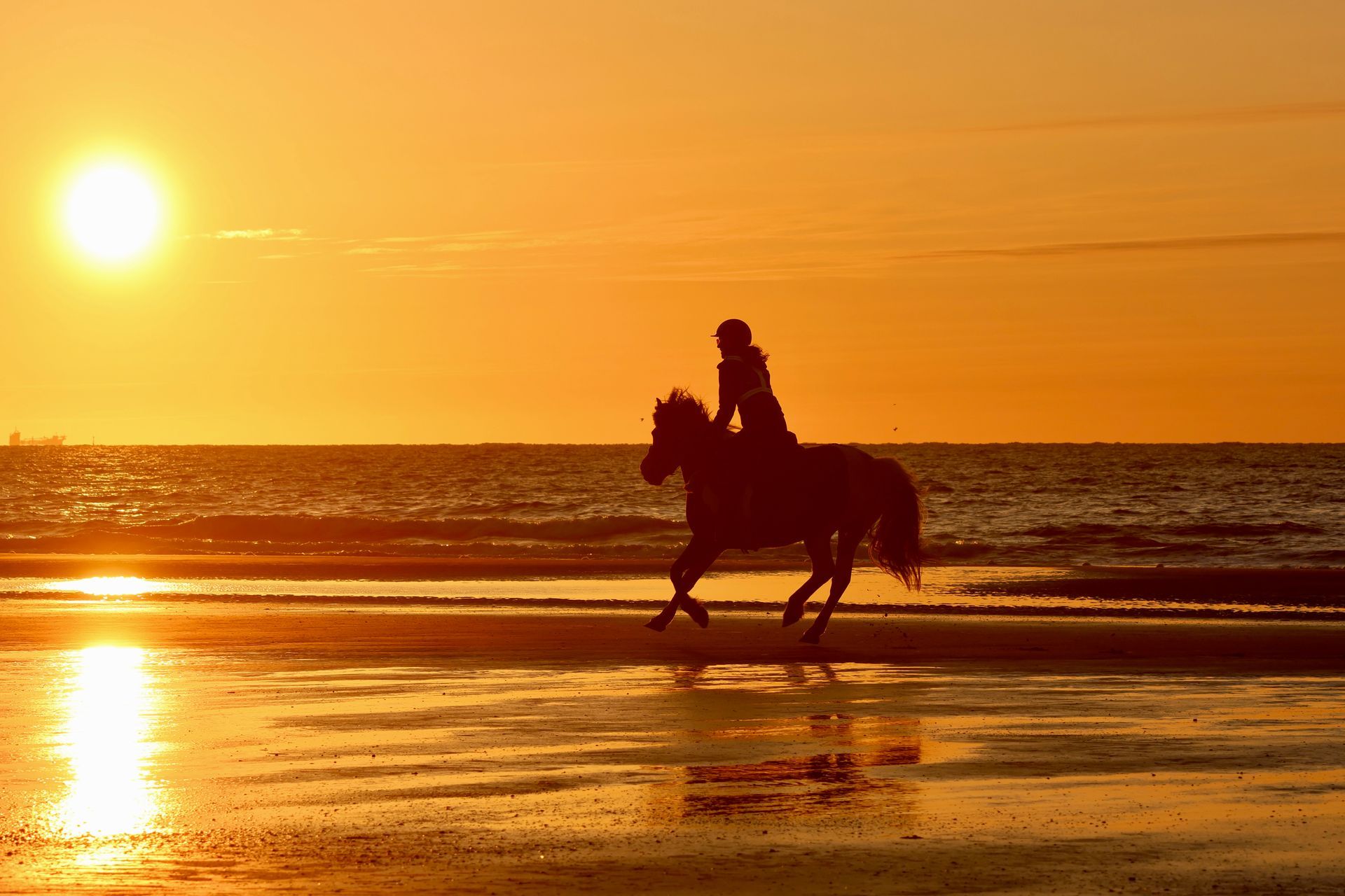 Silhouet van een persoon te paard langs een strand bij zonsondergang; oranje lucht en water.