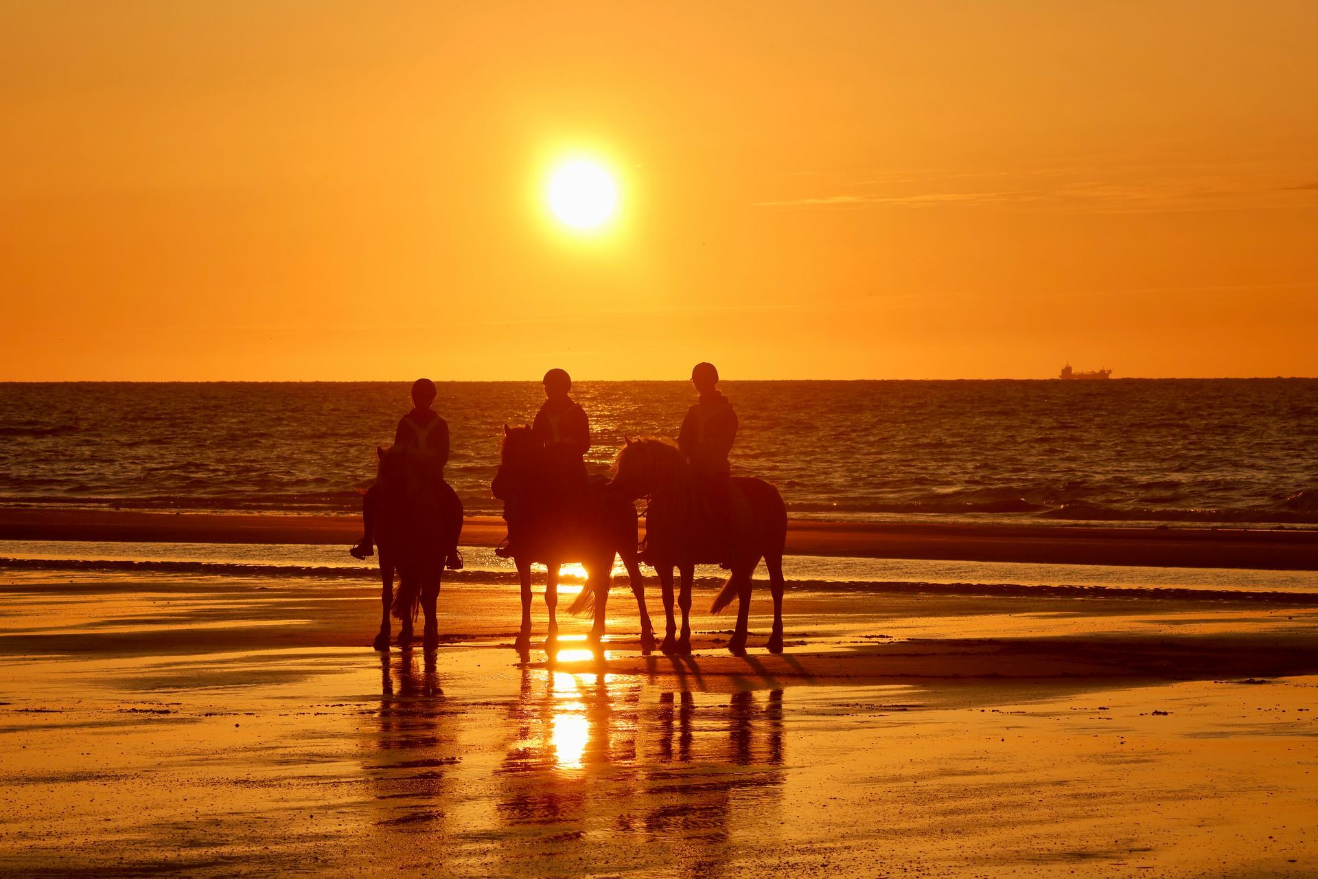 Drie mensen te paard op een strand bij zonsondergang. De oranje lucht weerspiegelt zich in het natte zand.