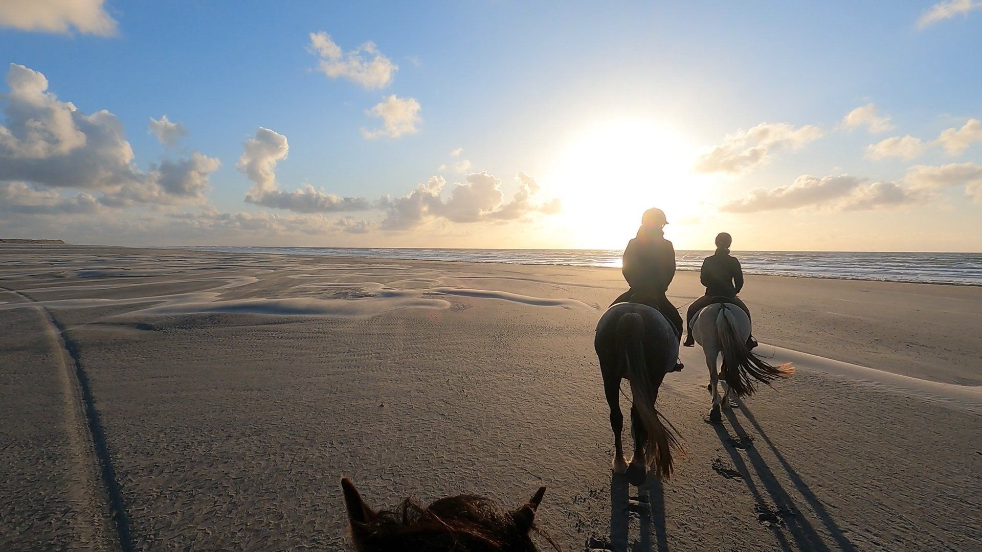 3,5 uurs rit met zonsondergang Zonsondergang strand te paard