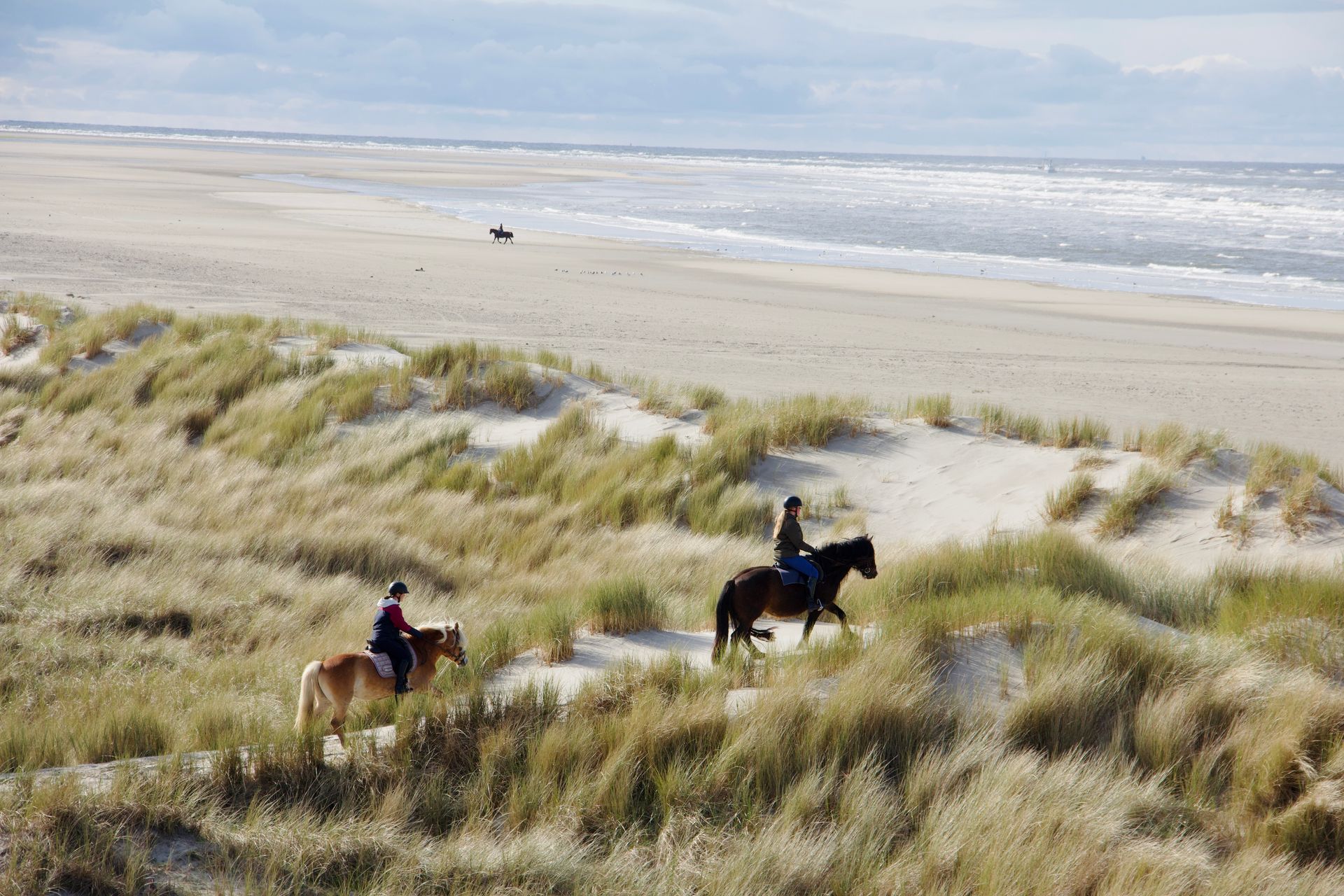 Twee mensen te paard op een zandstrand, met duinen en de oceaan in zicht.