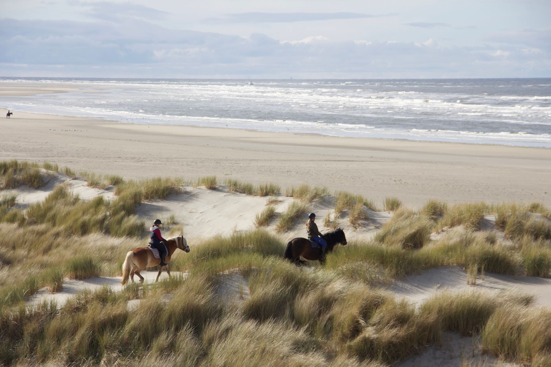 Paardrijden op het strand op Ameland bij Hollumer Trap.