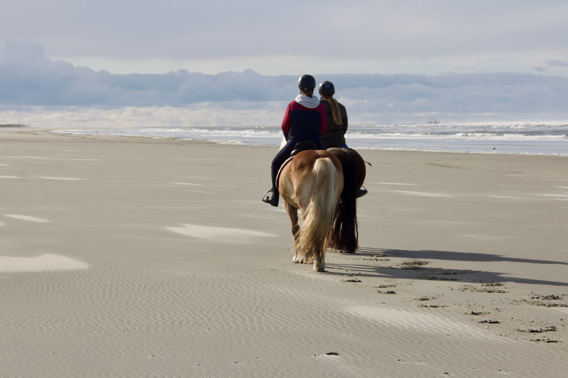 Paardrijden over het strand van Ameland bij Hollumer Trap.