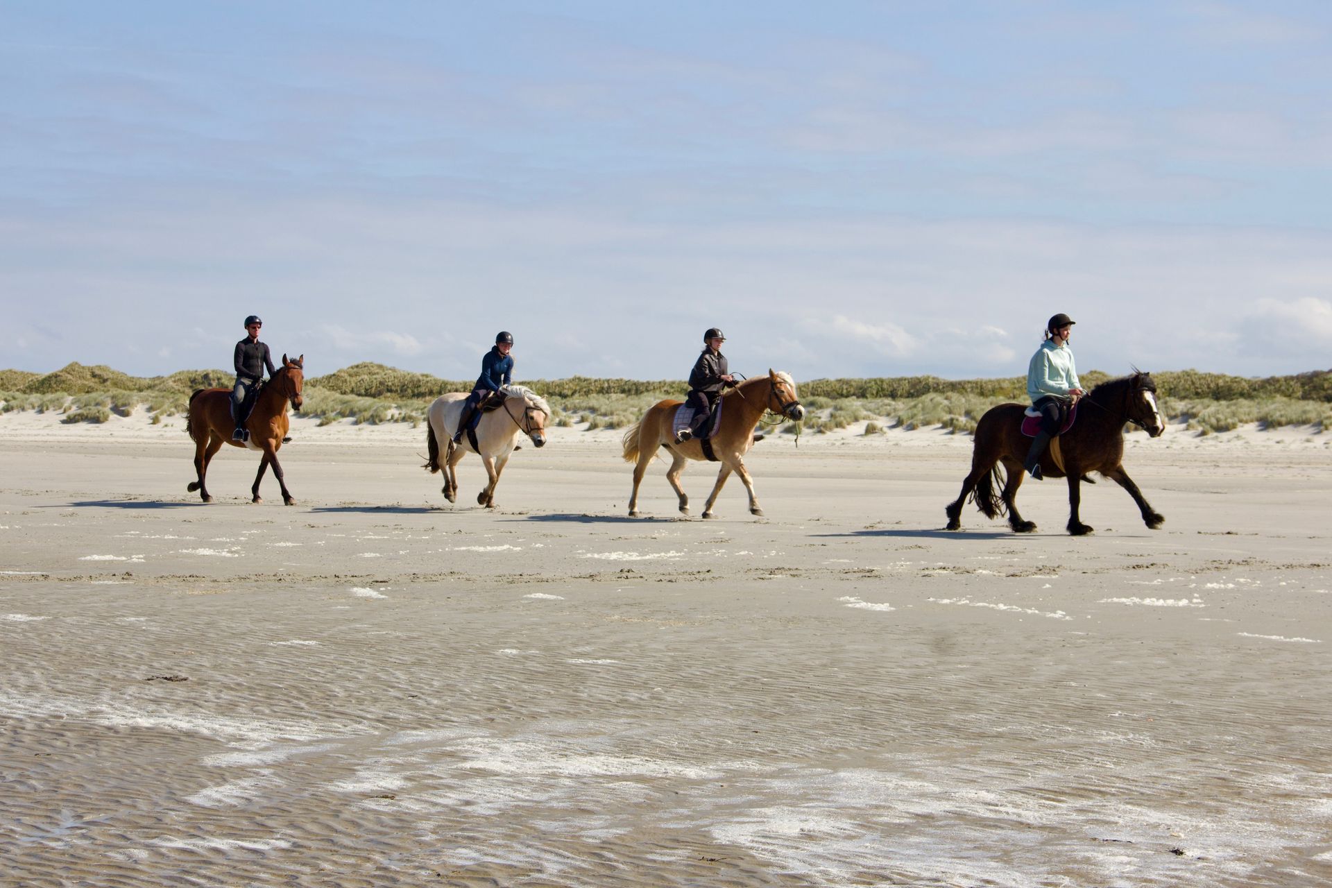 Een ruitervakantie of ruiterweekend bij Hollumer Trap op Ameland.
